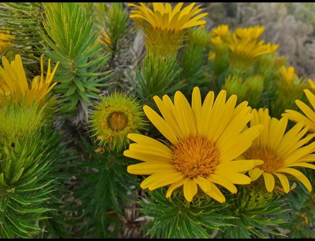 FARM FOR SALE IN GOURITSMOND RURAL